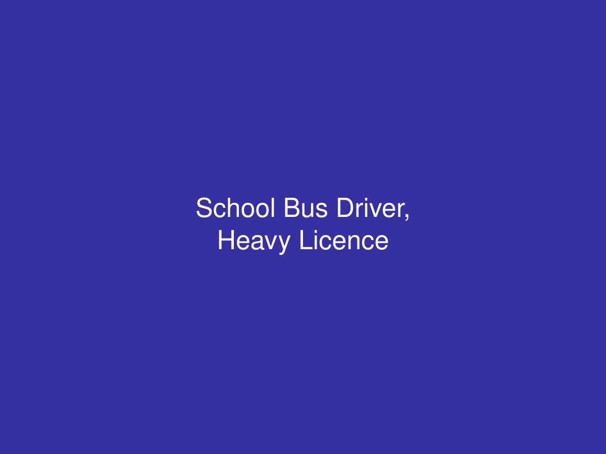 School Bus Driver, Heavy Licence — photo 1 of 1