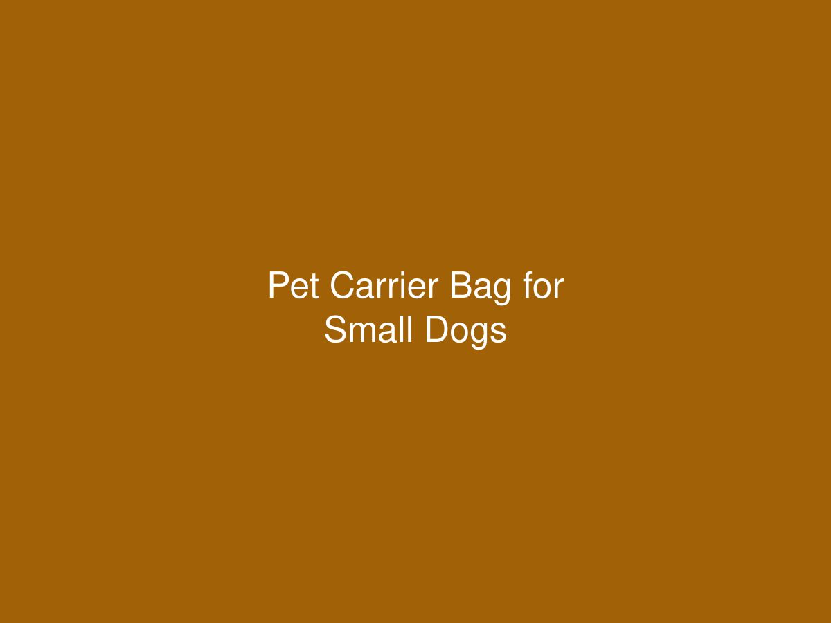 Pet Carrier Bag for Small Dogs — photo 1 of 1