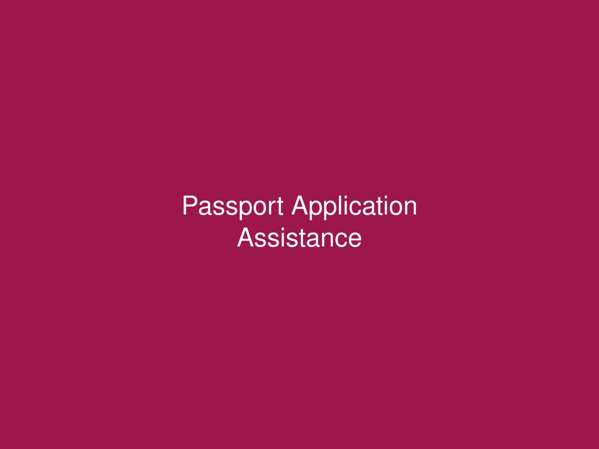 Passport Application Assistance — photo 1 of 1