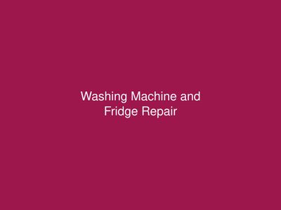 Washing Machine and Fridge Repair