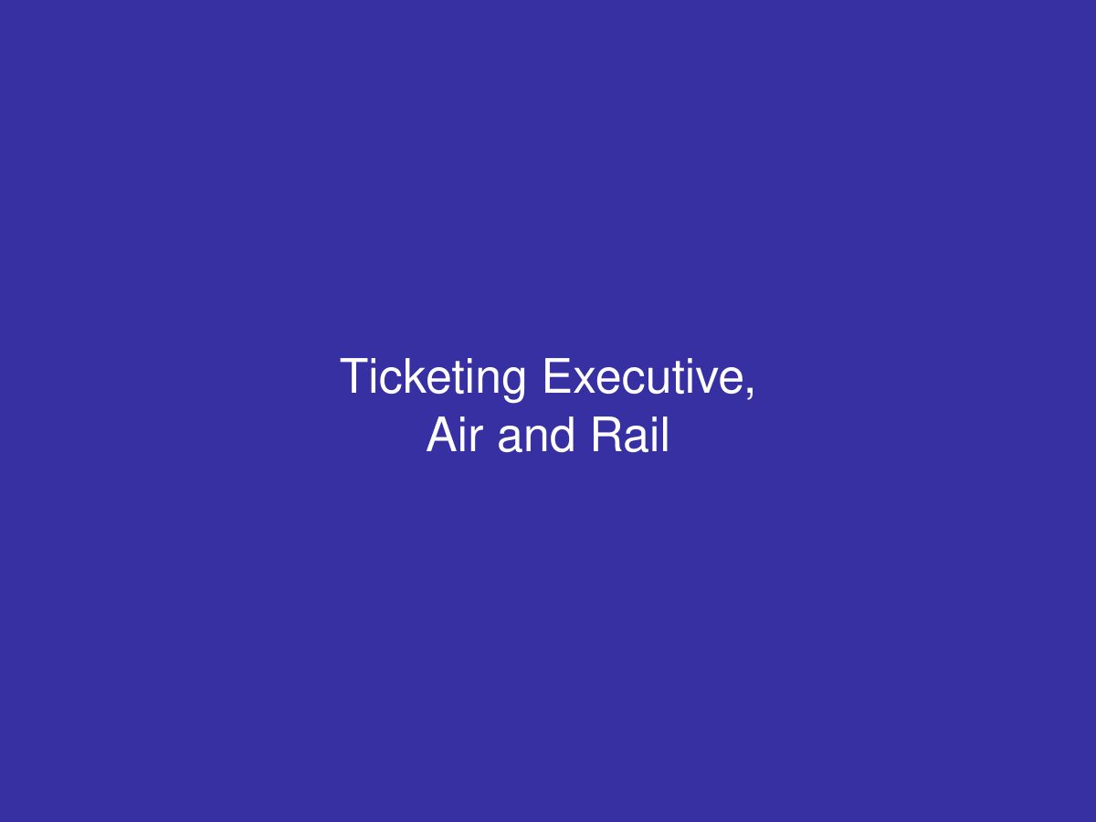 Ticketing Executive, Air and Rail — photo 1 of 1