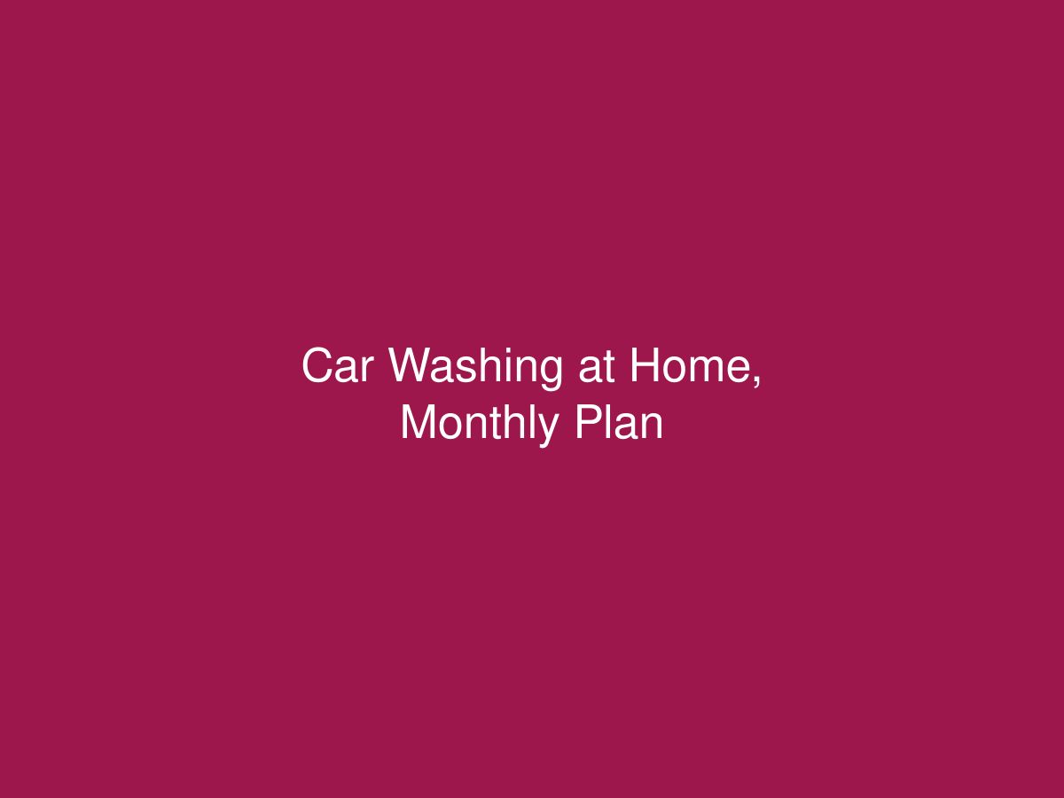Car Washing at Home, Monthly Plan — photo 1 of 1