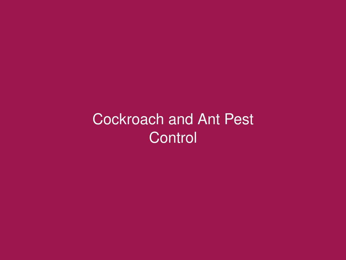 Cockroach and Ant Pest Control — photo 1 of 1
