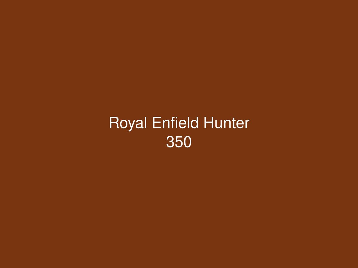 Royal Enfield Hunter 350 — photo 1 of 1