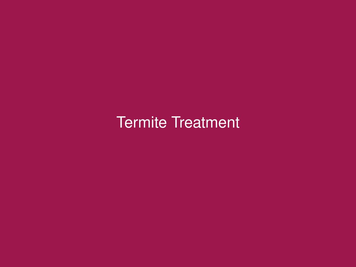 Termite Treatment — photo 1 of 1