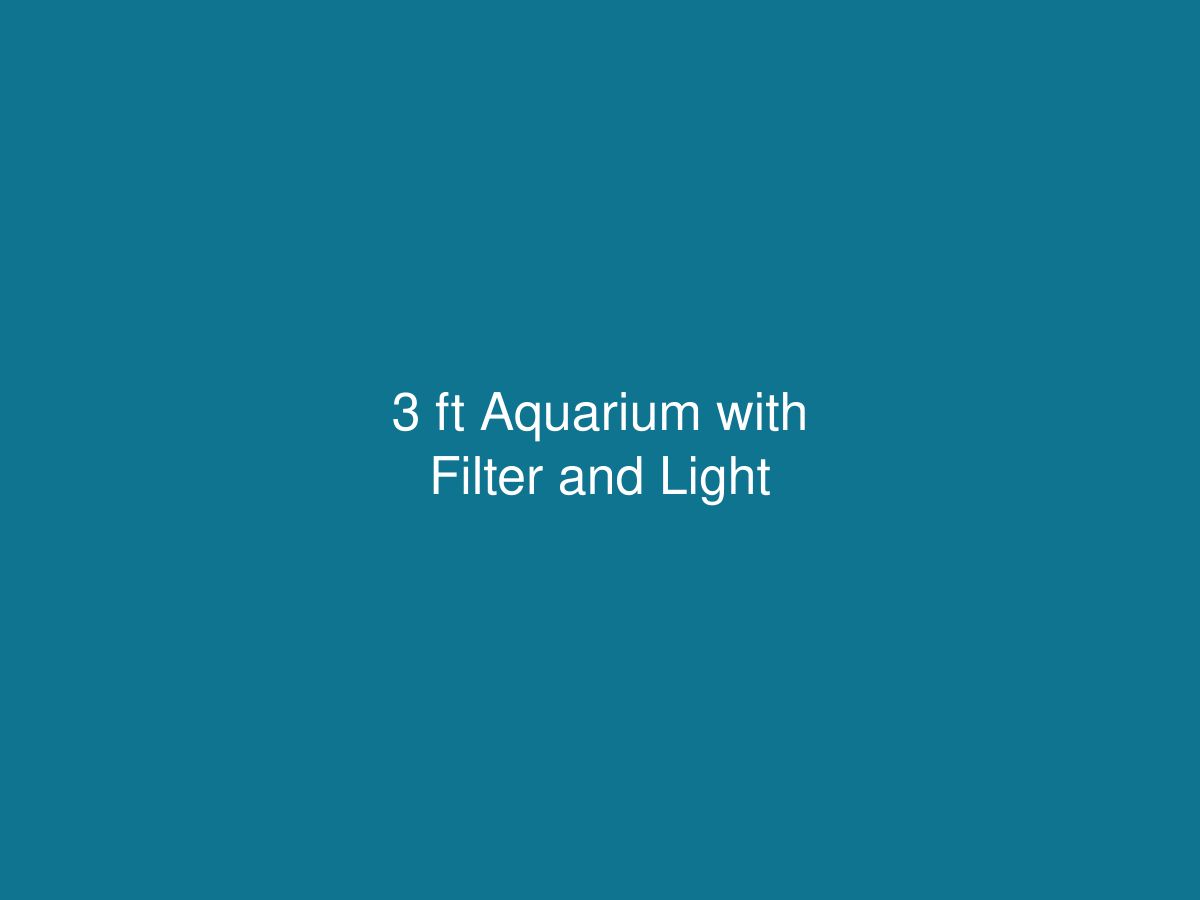 3 ft Aquarium with Filter and Light — photo 1 of 1