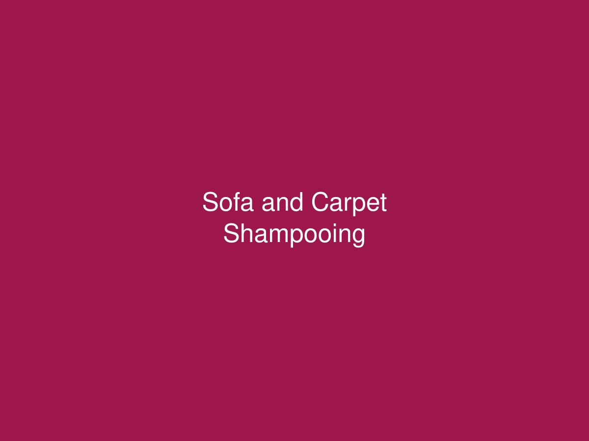 Sofa and Carpet Shampooing — photo 1 of 1