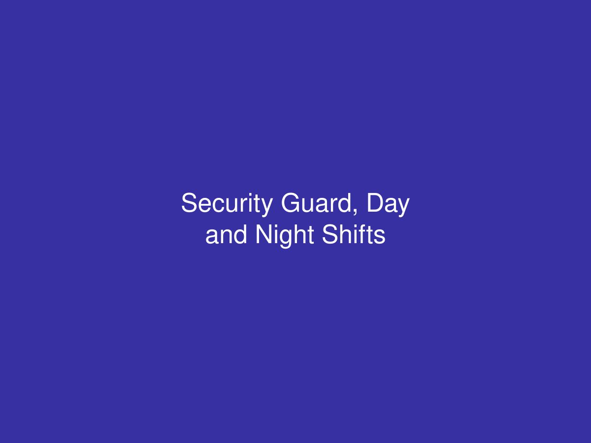 Security Guard, Day and Night Shifts — photo 1 of 1